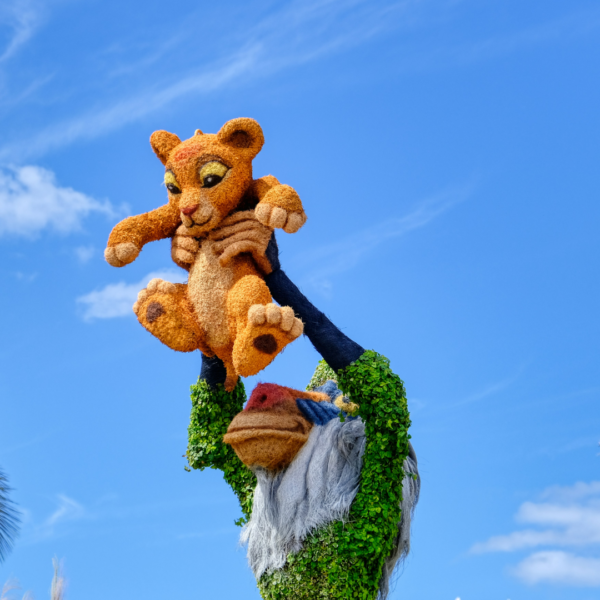 5 Melhores Restaurantes no Animal Kingdom para toda&hellip;