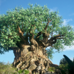 Hotel Polynesian Village Resort em&hellip;