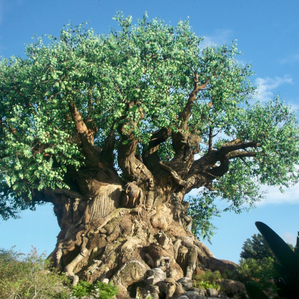 Hotel Polynesian Village Resort em reforma durante 2026