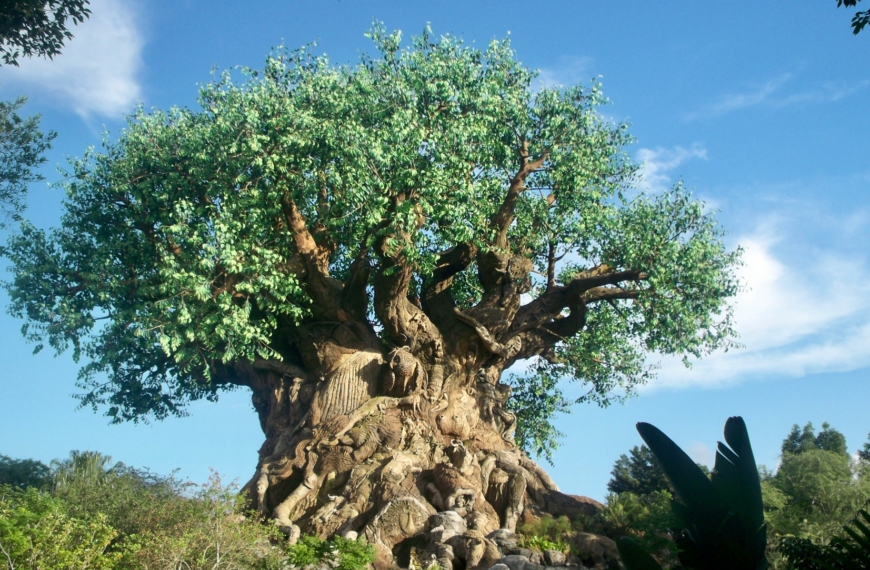 Hotel Polynesian Village Resort em reforma durante 2026