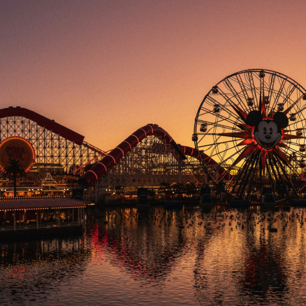 Quais vacinas são necessárias para viajar para Disney?